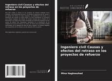 Ingeniero civil Causas y efectos del retraso en los proyectos de refuerzo kitap kapağı