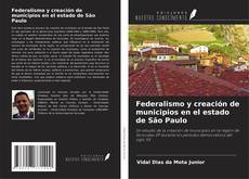 Federalismo y creación de municipios en el estado de São Paulo kitap kapağı