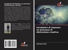 Couverture de Incubatori di imprese: un processo di distruzione creativa