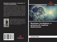 Bookcover of Business incubators: a process of creative destruction
