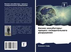 Capa do livro de Бизнес-инкубаторы: процесс созидательного разрушения 