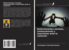 Copertina di Determinantes sociales, consecuencias y reacciones ante la violación