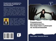 Capa do livro de Социальные детерминанты, последствия и реакция на изнасилование 