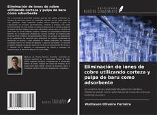 Couverture de Eliminación de iones de cobre utilizando corteza y pulpa de baru como adsorbente