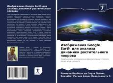 Buchcover von Изображения Google Earth для анализа динамики растительного покрова