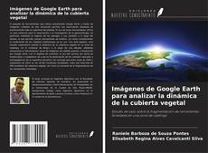 Обложка Imágenes de Google Earth para analizar la dinámica de la cubierta vegetal