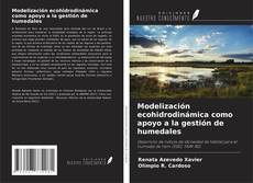 Couverture de Modelización ecohidrodinámica como apoyo a la gestión de humedales