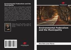 Buchcover von Environmental Federalism and the Municipality