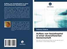 Couverture de Aufbau von Sozialkapital in einer diversifizierten Gemeinschaft