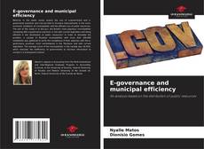 Couverture de E-governance and municipal efficiency