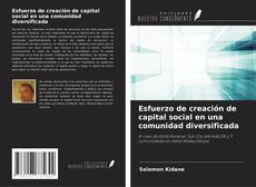 Copertina di Esfuerzo de creación de capital social en una comunidad diversificada