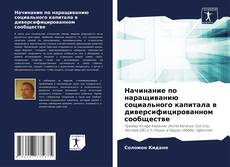 Bookcover of Начинание по наращиванию социального капитала в диверсифицированном сообществе