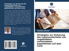 Couverture de Strategien zur Sicherung des Lebensunterhalts von ungebildeten verheirateten Jugendlichen auf dem Land