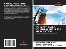 Borítókép a  POLYACRYLAMIDE POLYMER (PAM) IN SOIL STABILIZATION - hoz