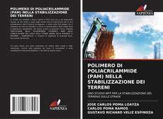 Bookcover of POLIMERO DI POLIACRILAMMIDE (PAM) NELLA STABILIZZAZIONE DEI TERRENI