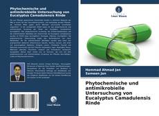 Borítókép a  Phytochemische und antimikrobielle Untersuchung von Eucalyptus Camadulensis Rinde - hoz