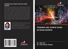 Bookcover of TEOREMA DEL PUNTO FISSO IN SPAZI DIVERSI