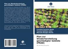 Couverture de Plan zur Wiederherstellung geschädigter Gebiete (PRAD)