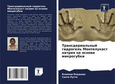 Обложка Трансдермальный гидрогель Монтелукаст натрия на основе микрогубки