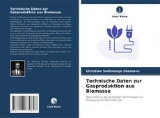 Обложка Technische Daten zur Gasproduktion aus Biomasse