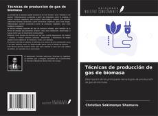Copertina di Técnicas de producción de gas de biomasa
