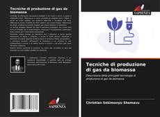 Buchcover von Tecniche di produzione di gas da biomassa