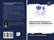 Capa do livro de Технические данные по добыче газа из биомассы 