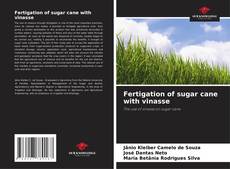 Copertina di Fertigation of sugar cane with vinasse