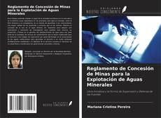 Copertina di Reglamento de Concesión de Minas para la Explotación de Aguas Minerales