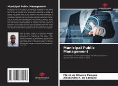 Borítókép a  Municipal Public Management - hoz