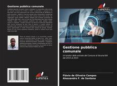 Buchcover von Gestione pubblica comunale