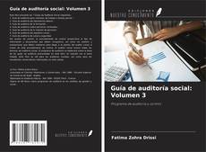 Copertina di Guía de auditoría social: Volumen 3