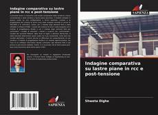 Buchcover von Indagine comparativa su lastre piane in rcc e post-tensione