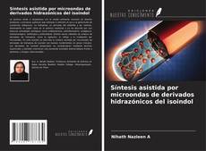 Copertina di Síntesis asistida por microondas de derivados hidrazónicos del isoindol