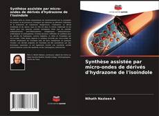 Capa do livro de Synthèse assistée par micro-ondes de dérivés d'hydrazone de l'isoindole 