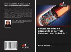 Buchcover von Sintesi assistita da microonde di derivati idrazonici dell'isoindolo