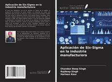 Copertina di Aplicación de Six-Sigma en la industria manufacturera
