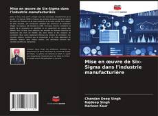 Mise en œuvre de Six-Sigma dans l'industrie manufacturière kitap kapağı