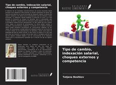 Copertina di Tipo de cambio, indexación salarial, choques externos y competencia