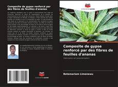 Capa do livro de Composite de gypse renforcé par des fibres de feuilles d'ananas 