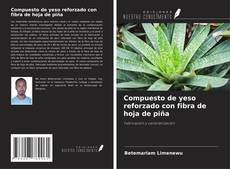 Portada del libro de Compuesto de yeso reforzado con fibra de hoja de piña