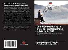 Une brève étude de la crise de l'enseignement public au Brésil kitap kapağı