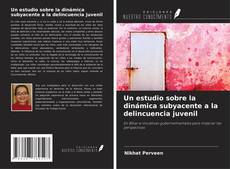 Couverture de Un estudio sobre la dinámica subyacente a la delincuencia juvenil