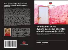 Capa do livro de Une étude sur les dynamiques sous-jacentes à la délinquance juvénile 