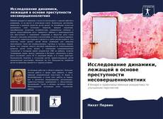 Capa do livro de Исследование динамики, лежащей в основе преступности несовершеннолетних 