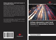 Copertina di Urban dynamics and land issues in secondary towns