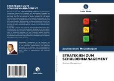 Couverture de STRATEGIEN ZUM SCHULDENMANAGEMENT