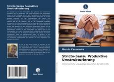 Stricto-Sensu Produktive Umstrukturierung kitap kapağı