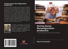 Capa do livro de Stricto-Sensu Reconfiguration productive 