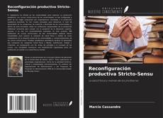Reconfiguración productiva Stricto-Sensu的封面